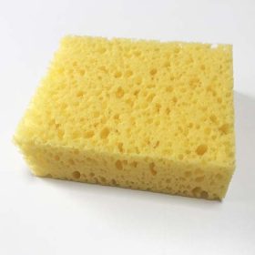 Esponja amarilla taco